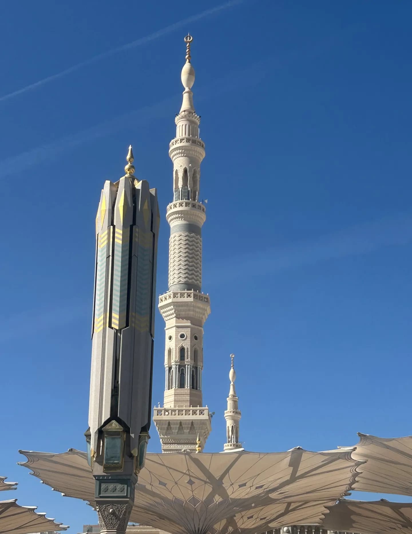 Nasteha Ali image