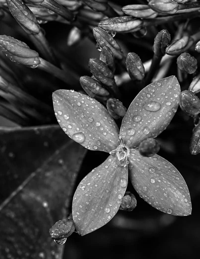 Ashley Glassburn image
