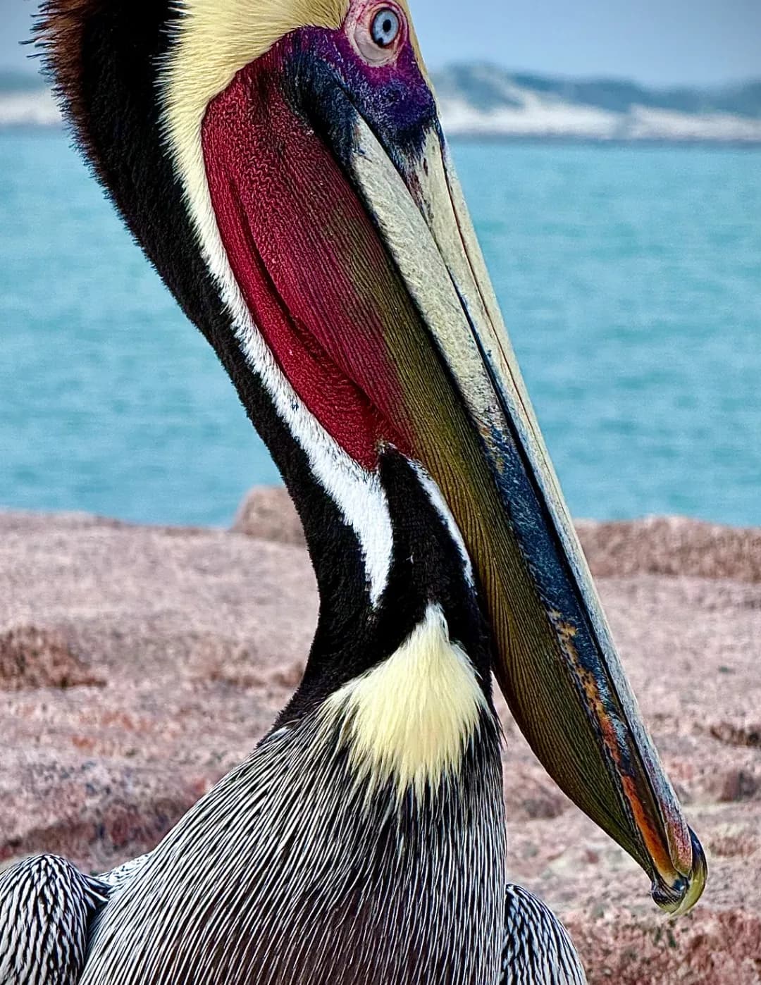 Carlos Espinosa image