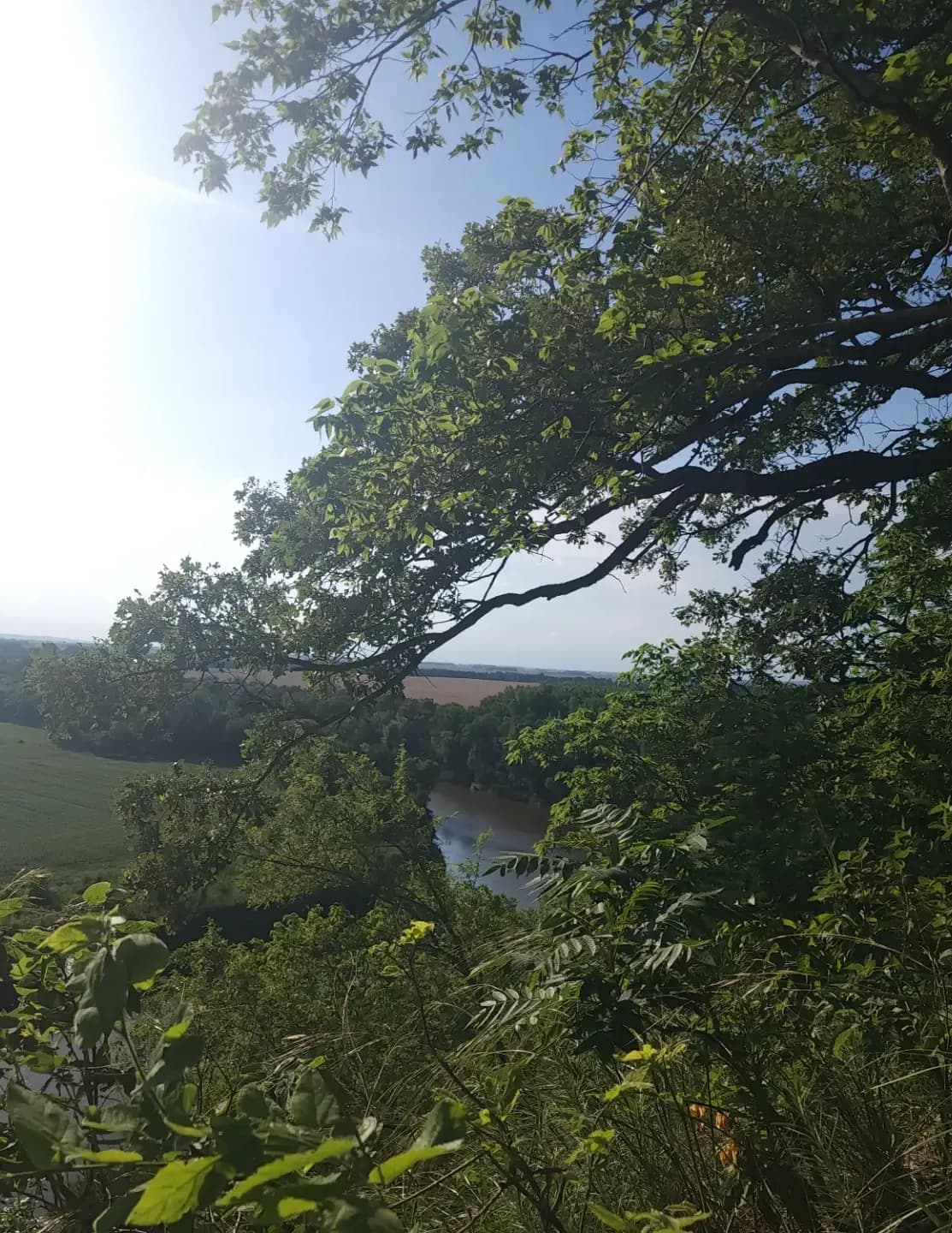 Dakotaj933 image