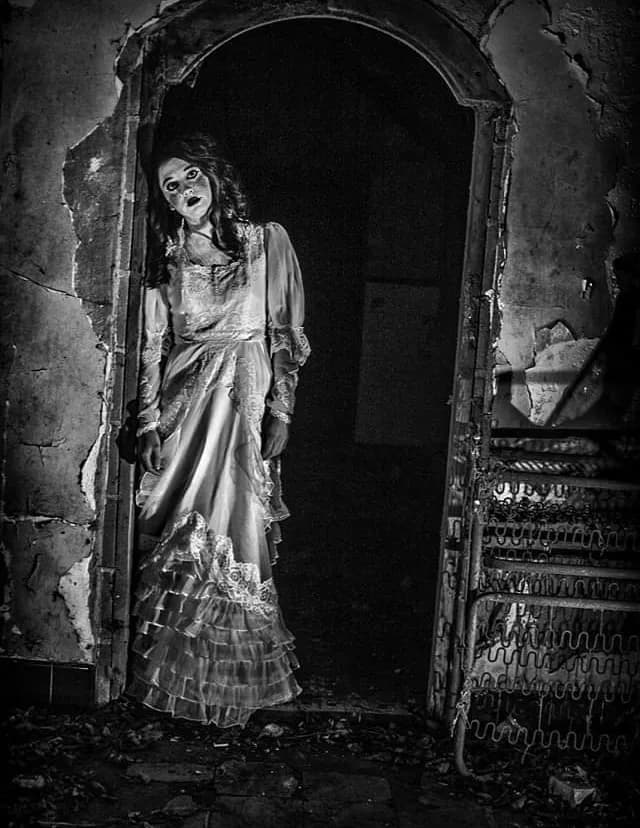 Muzed Photography image