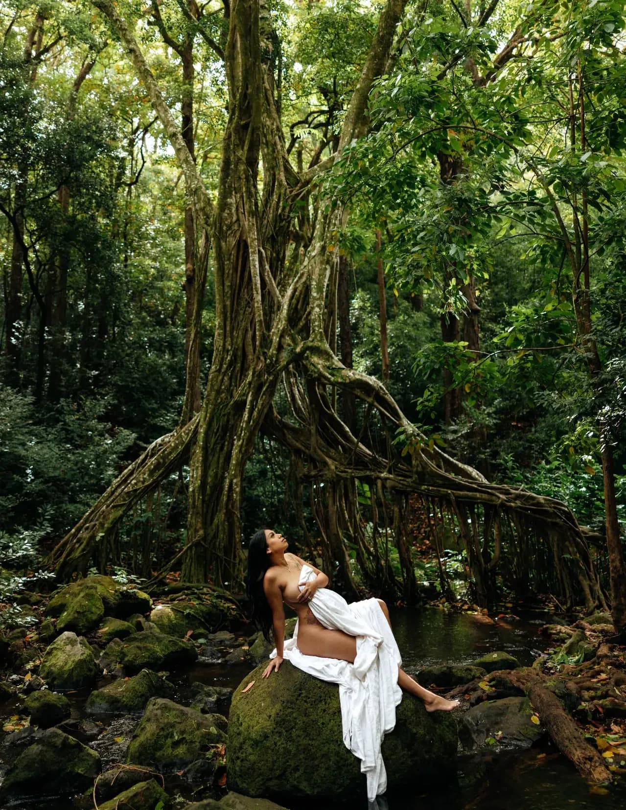 Stephanie Hall image