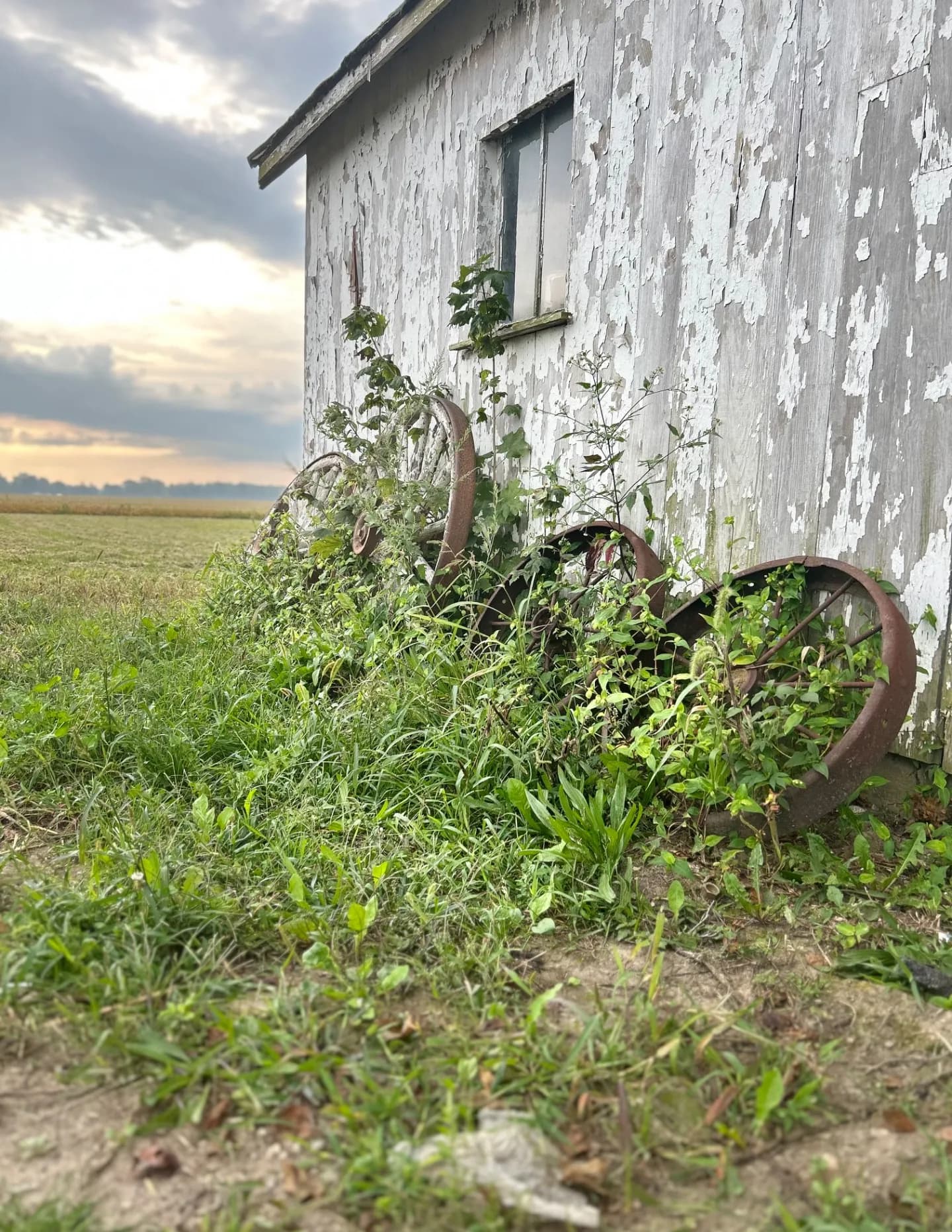 Kalyn’s Photography image
