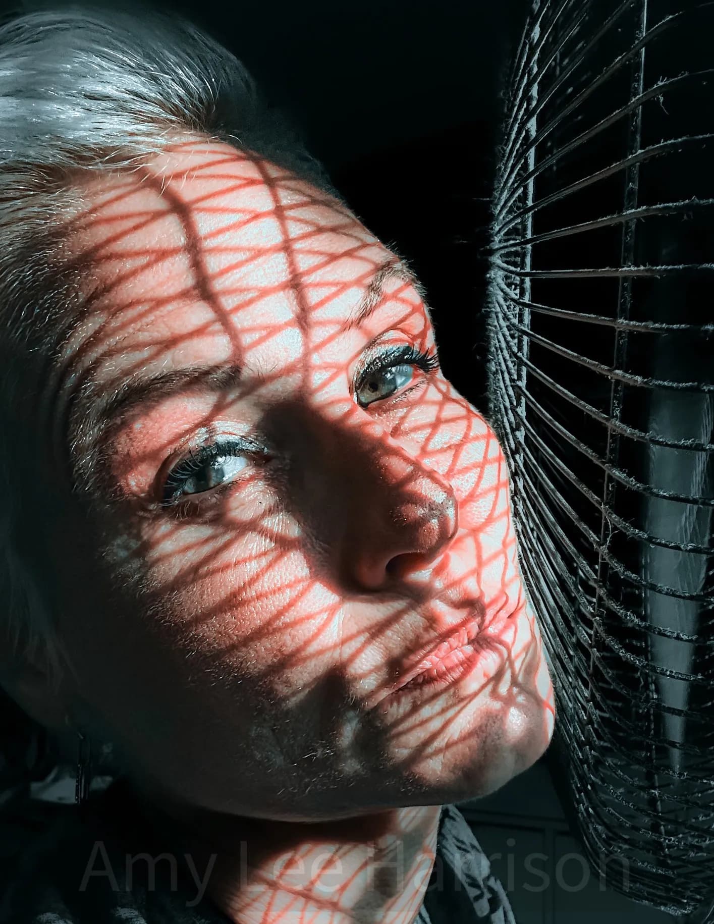 Amy Lee H image