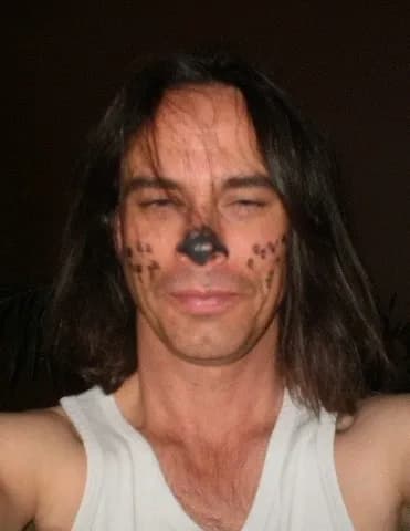 Kevin The Bold image