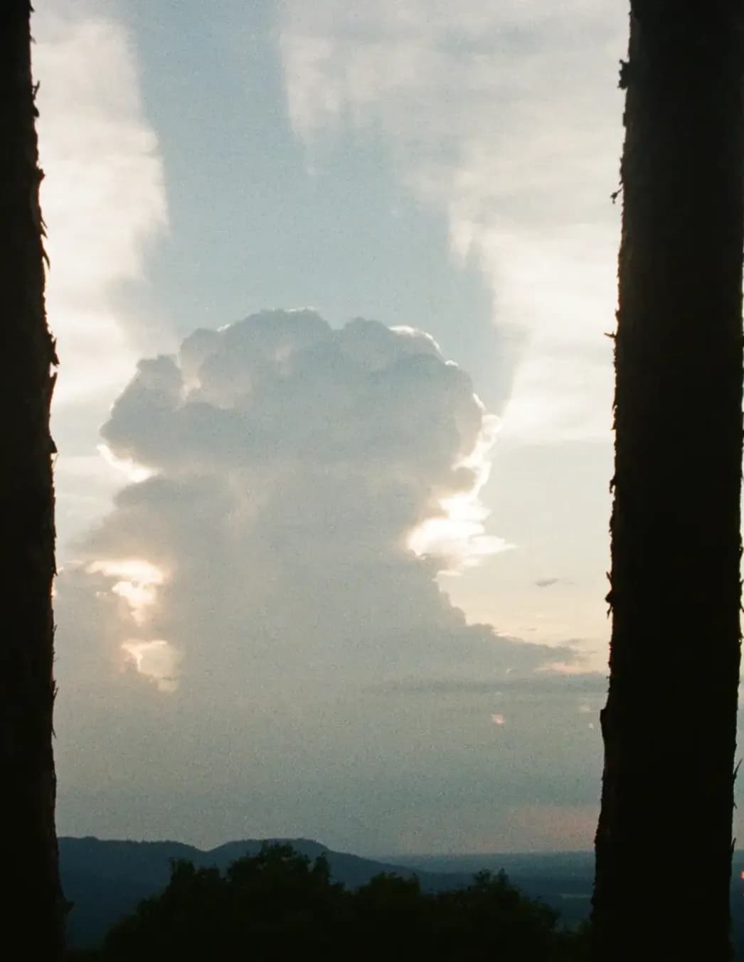 ZPBrooks image