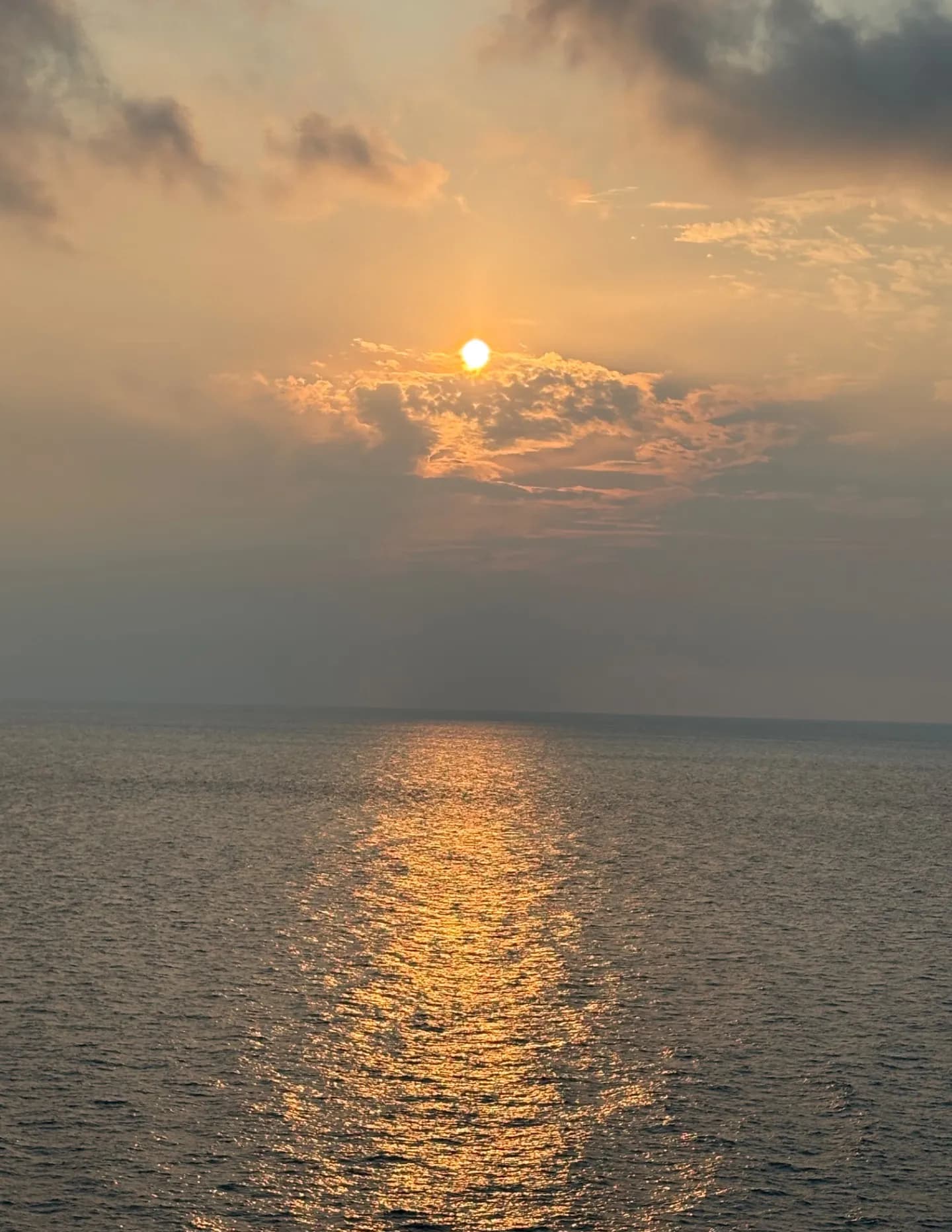 Lynn image