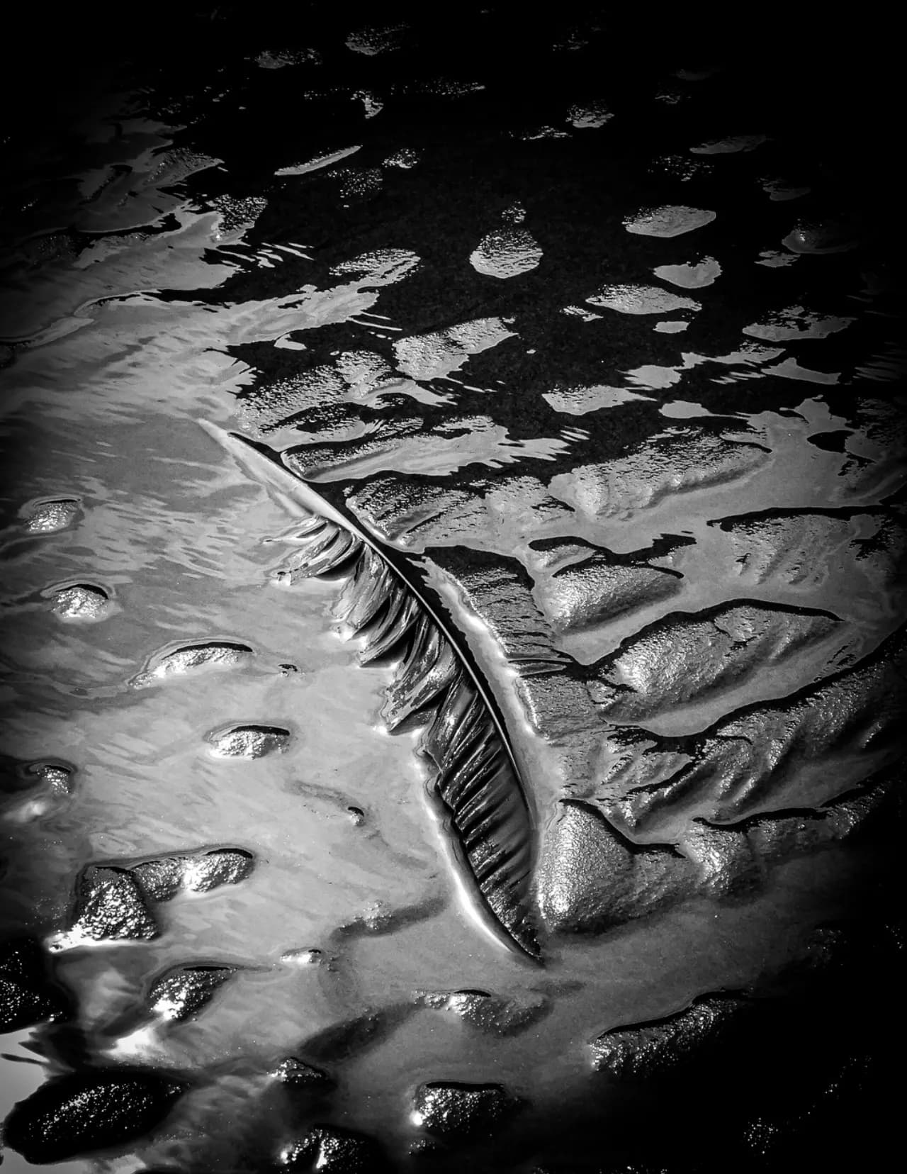 Kevin Riley image
