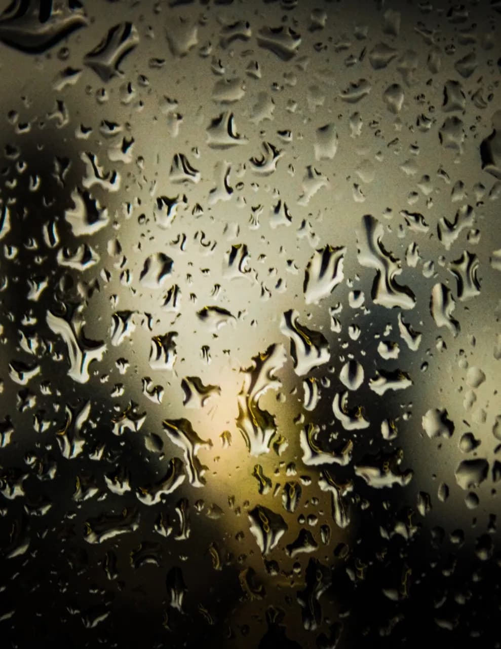 Kevin Riley image