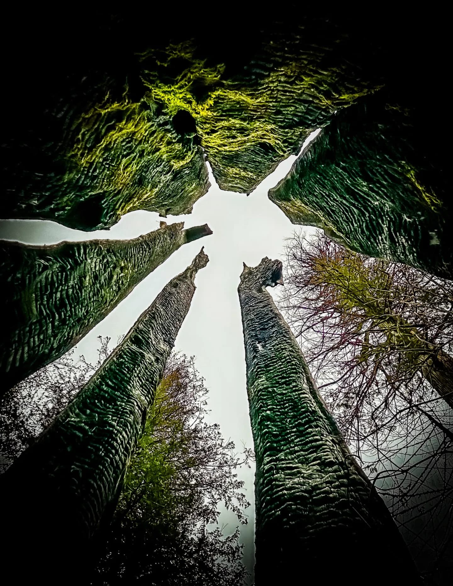Kevin Riley image