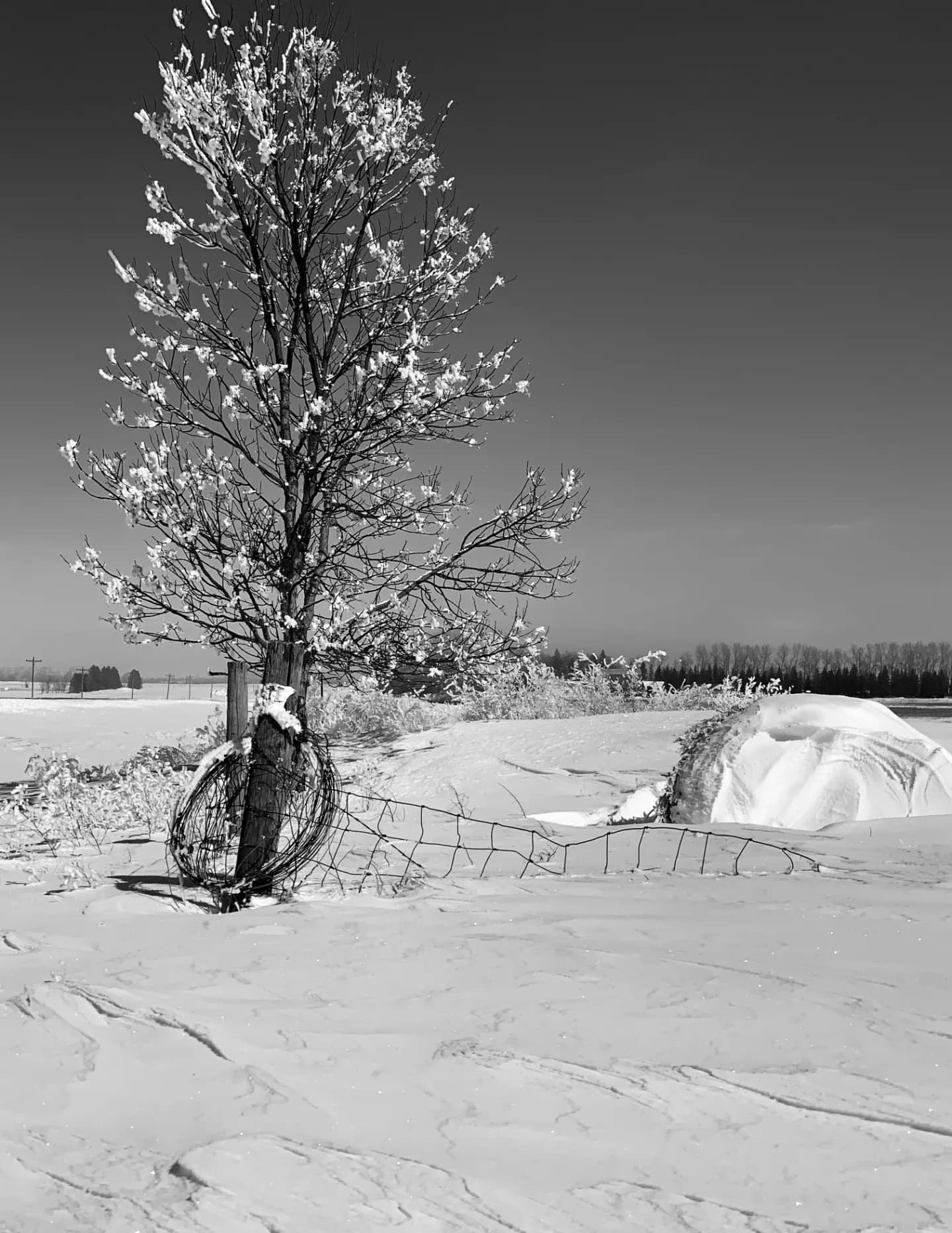 NorthDakotaLife image