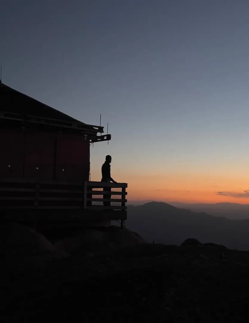 Ayaan image