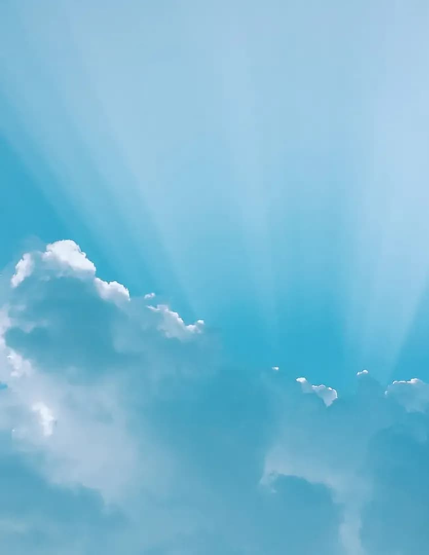 Piraino's Perspective image