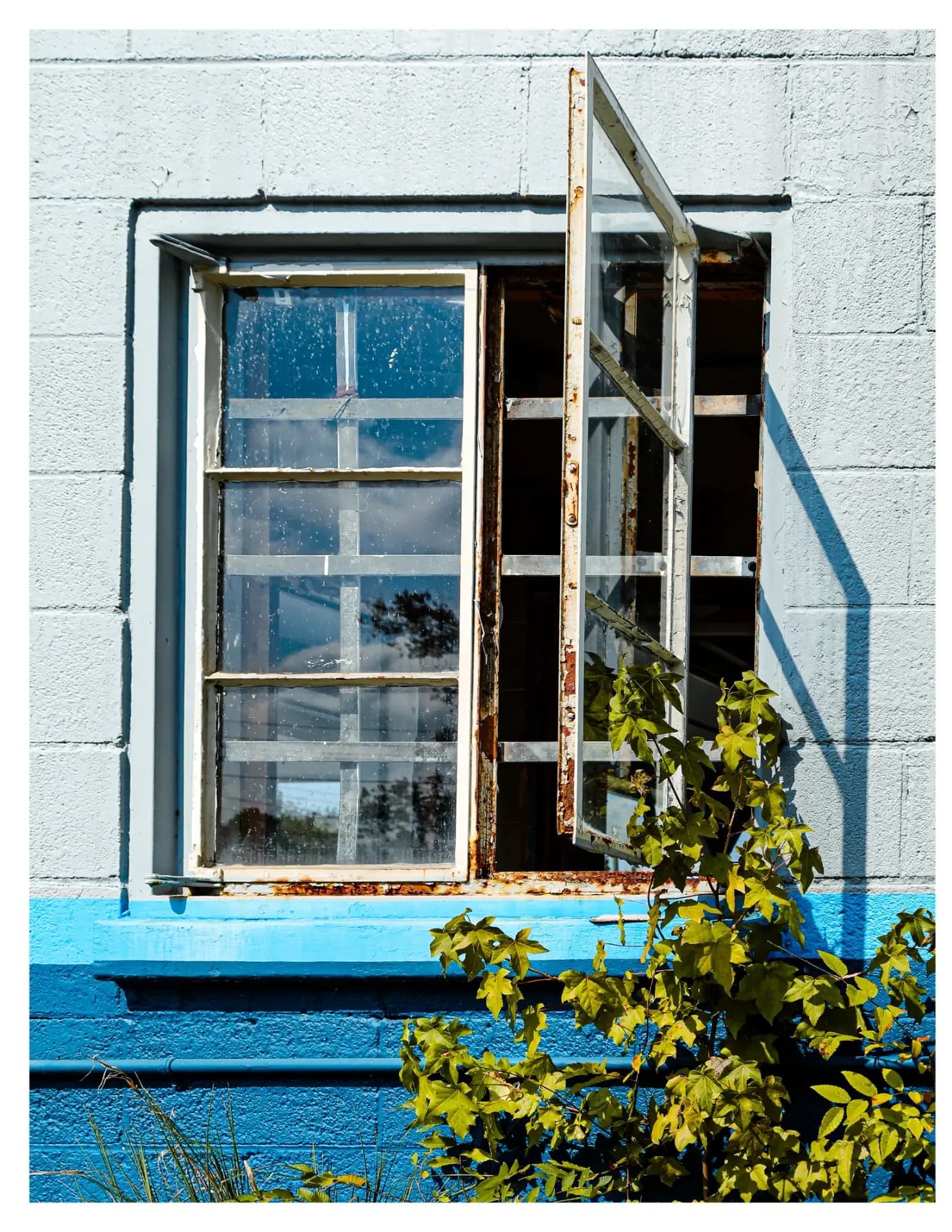 David Parnell image