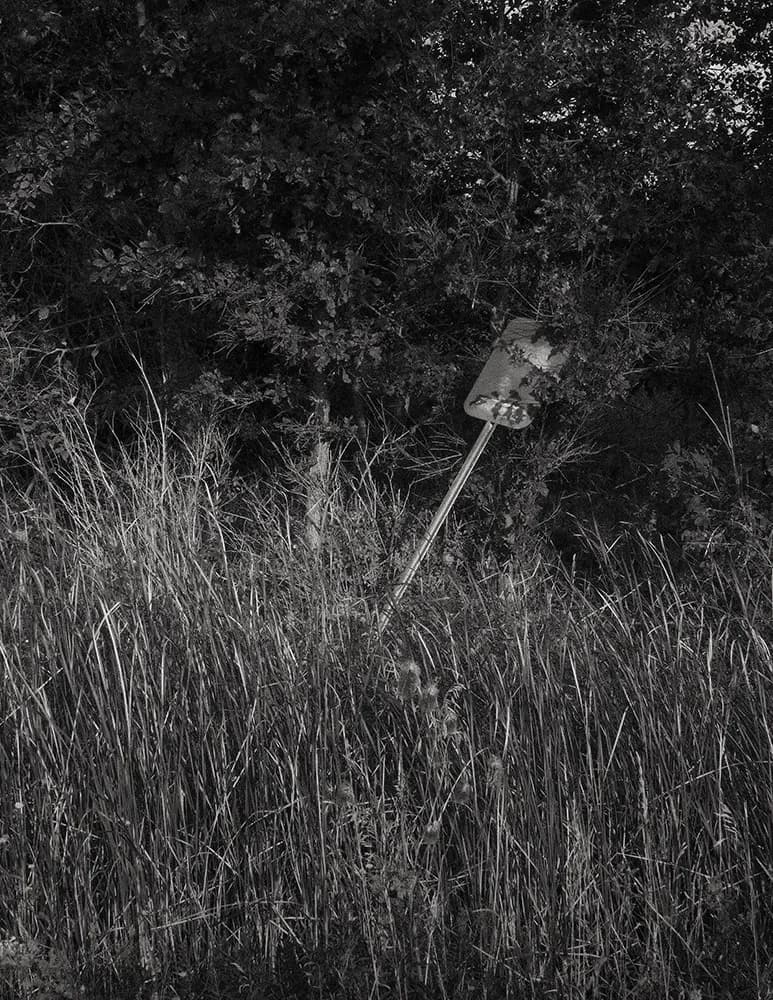 Gabanyphoto image