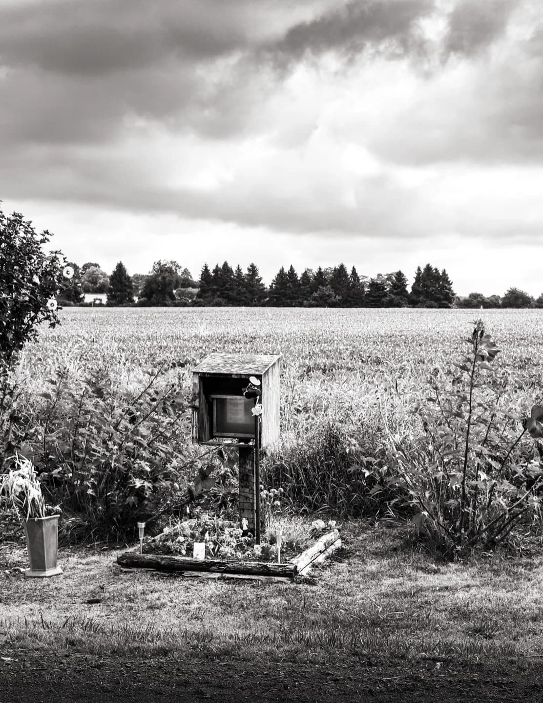 Gabanyphoto image