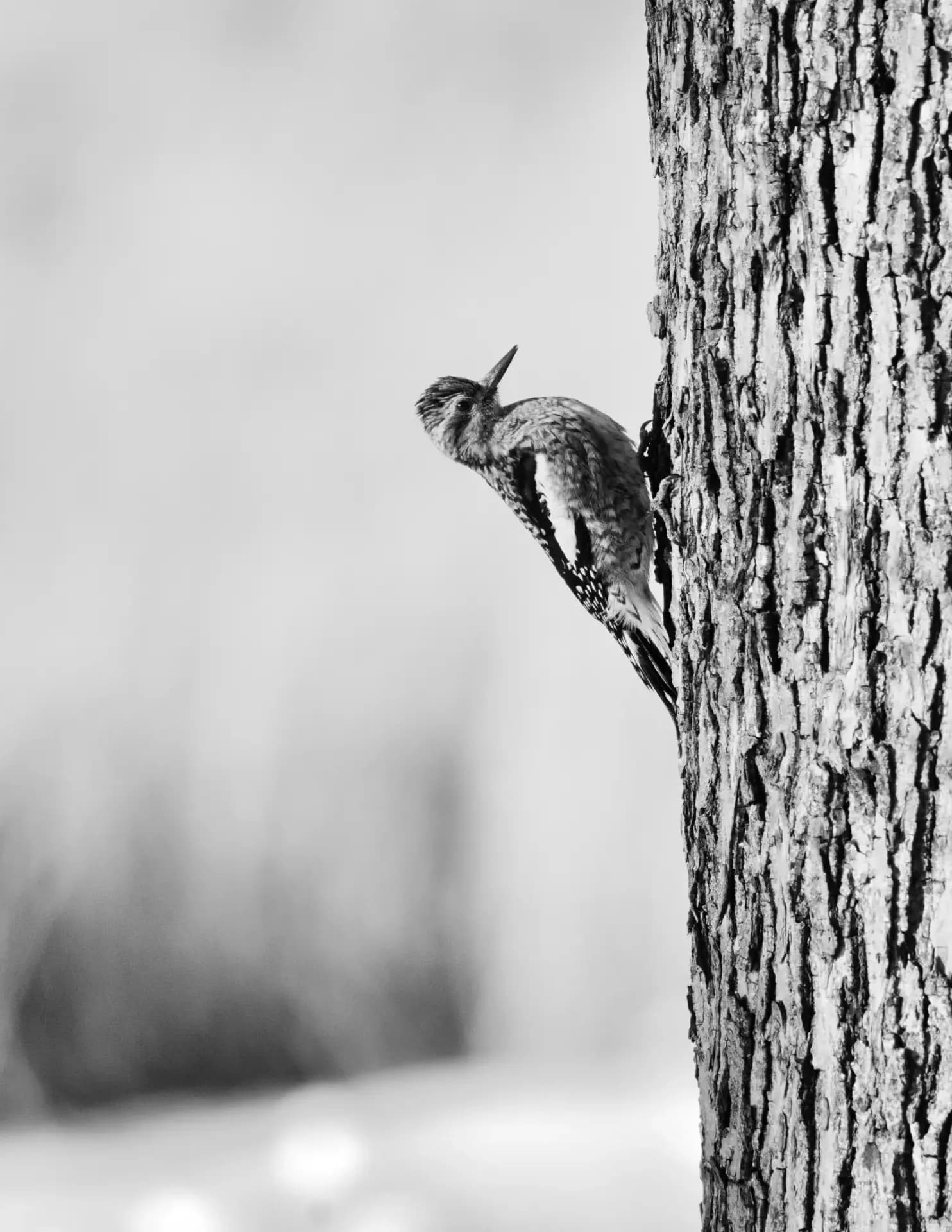 Matthew McEwen image