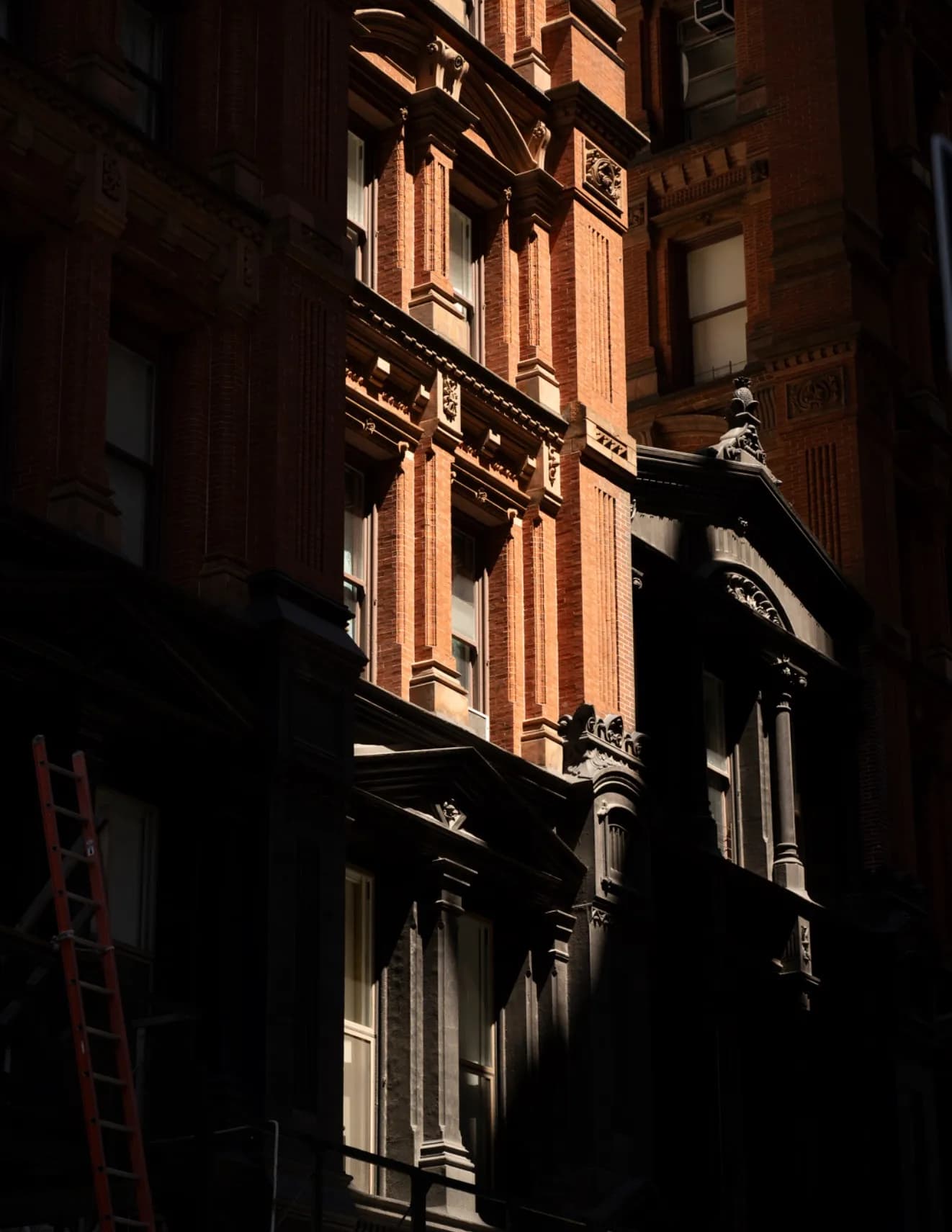 Jayda Wang image