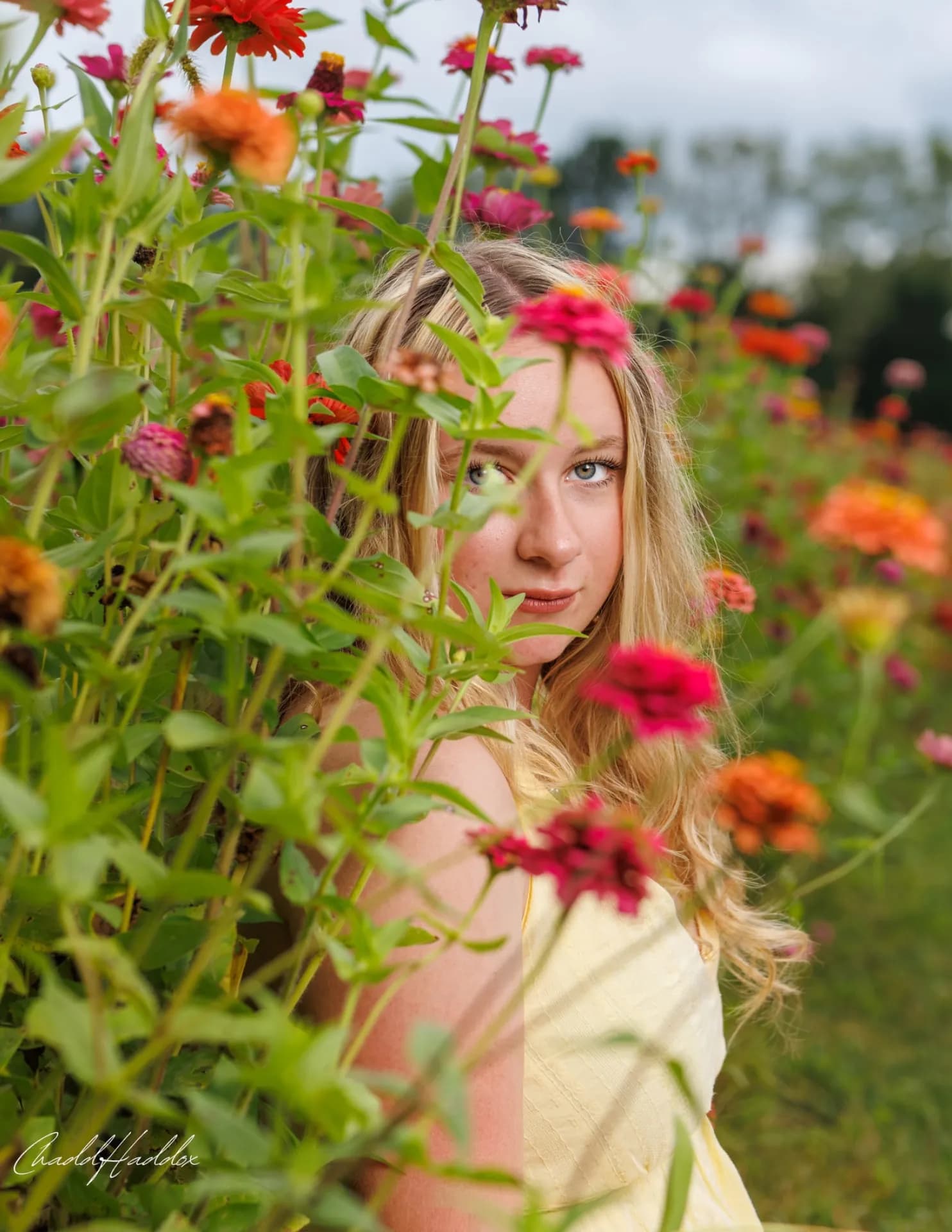 Chadd haddox image