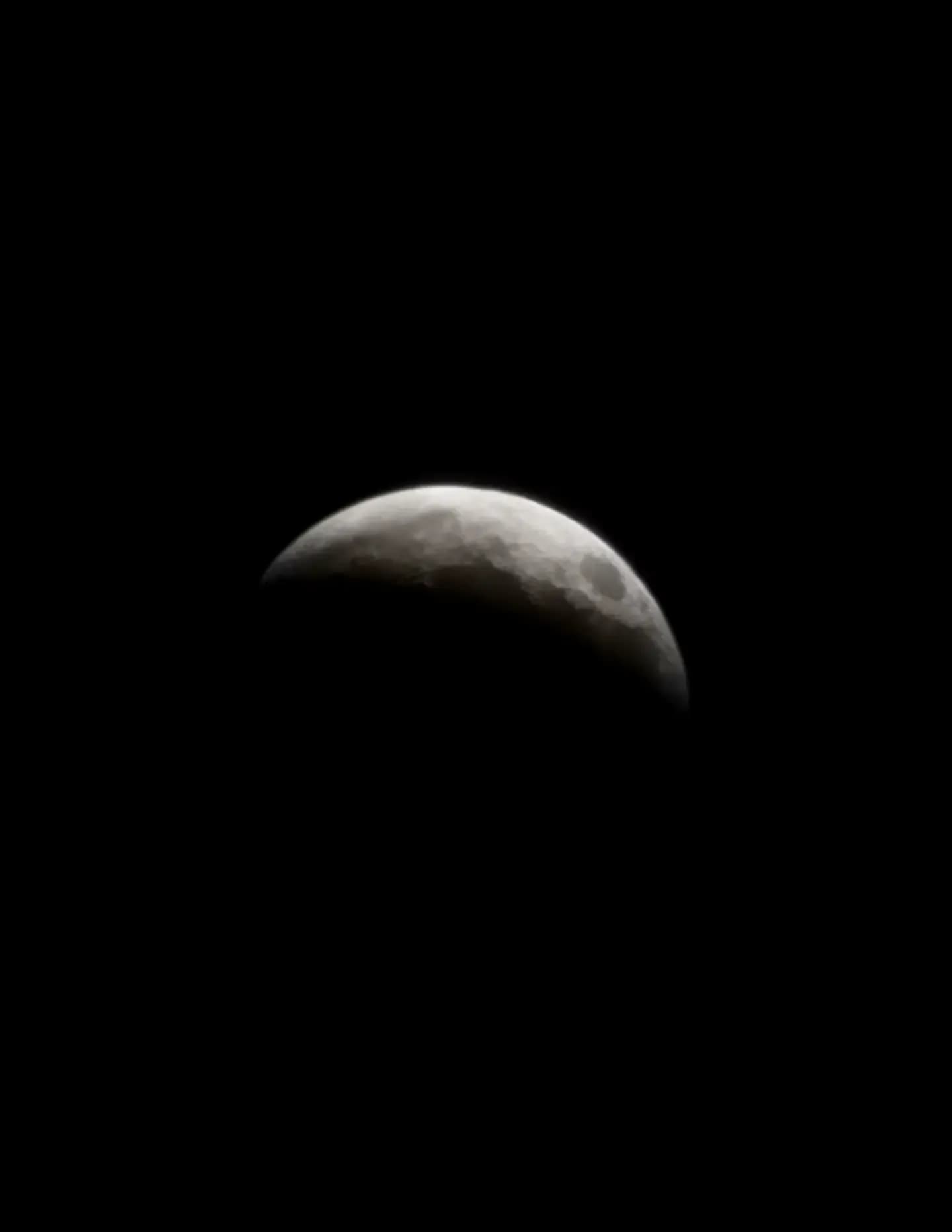 Ren32026 image
