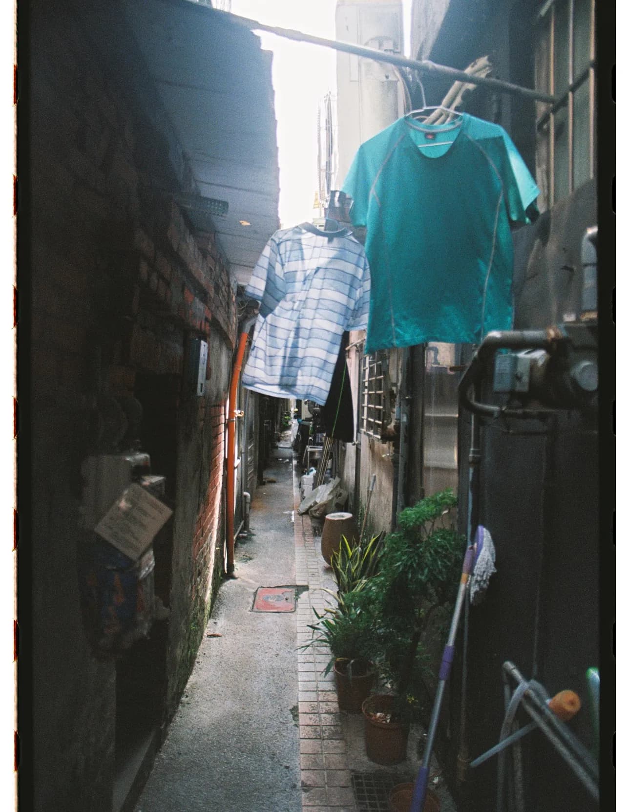 Westonf0wler image