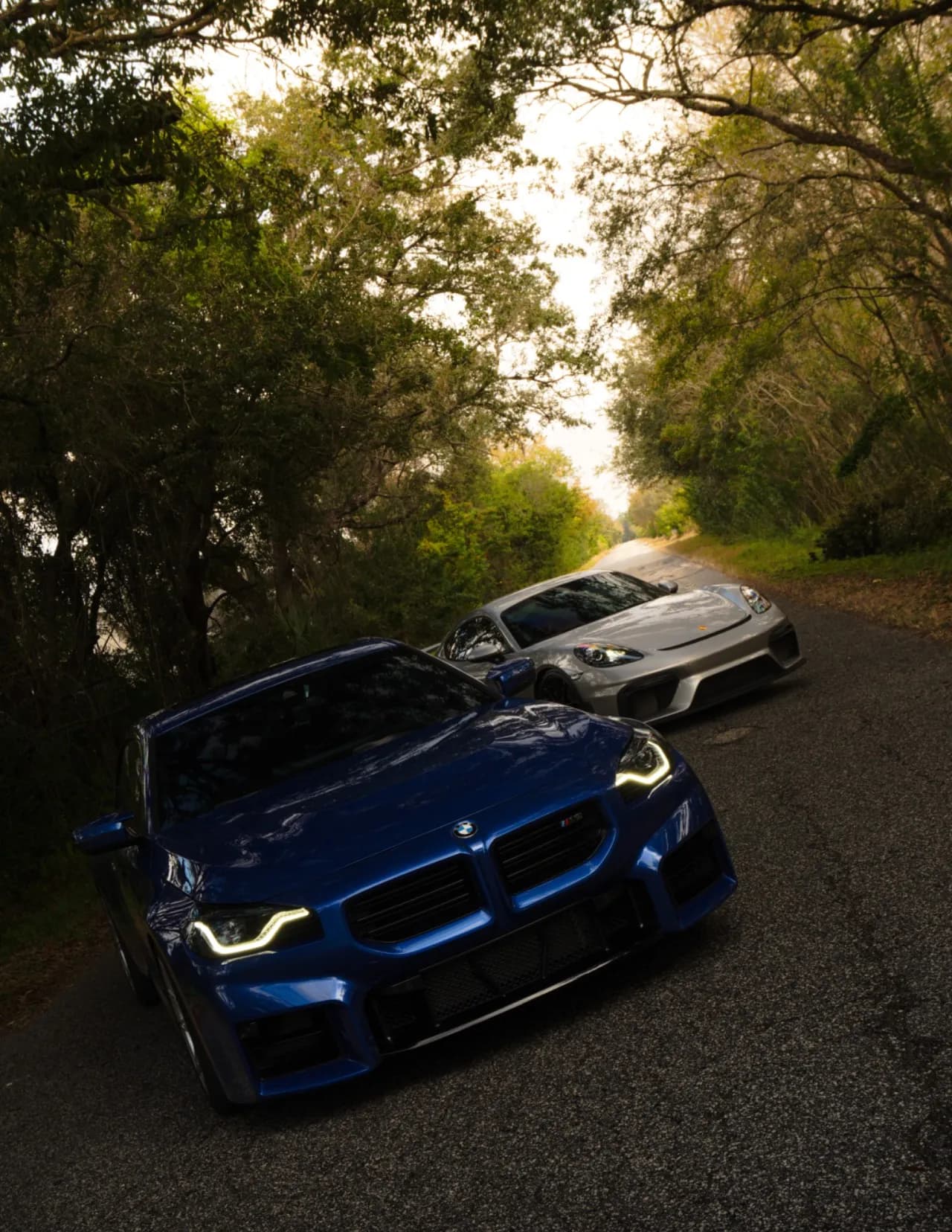 competitor Bqvw4