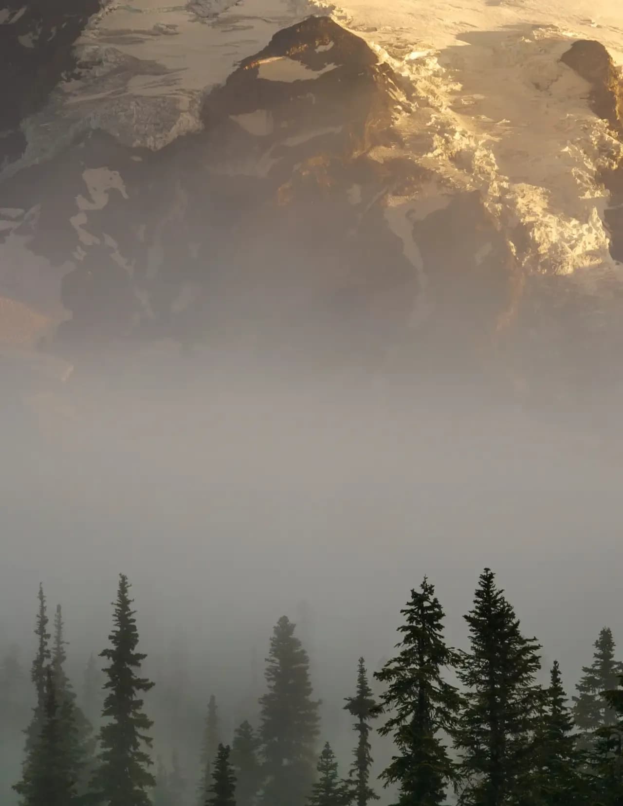 Karsten Farris image
