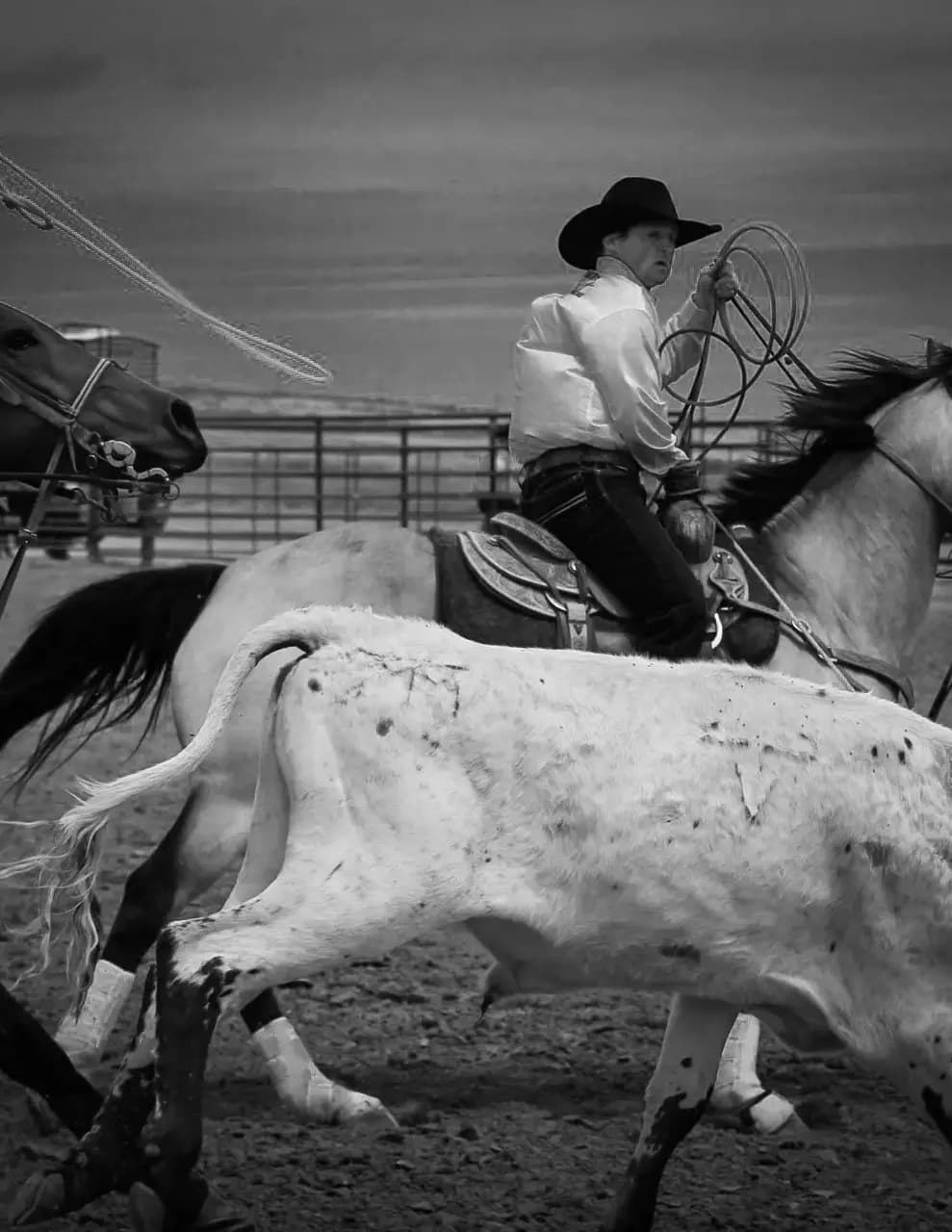 Mallory Dougherty  image