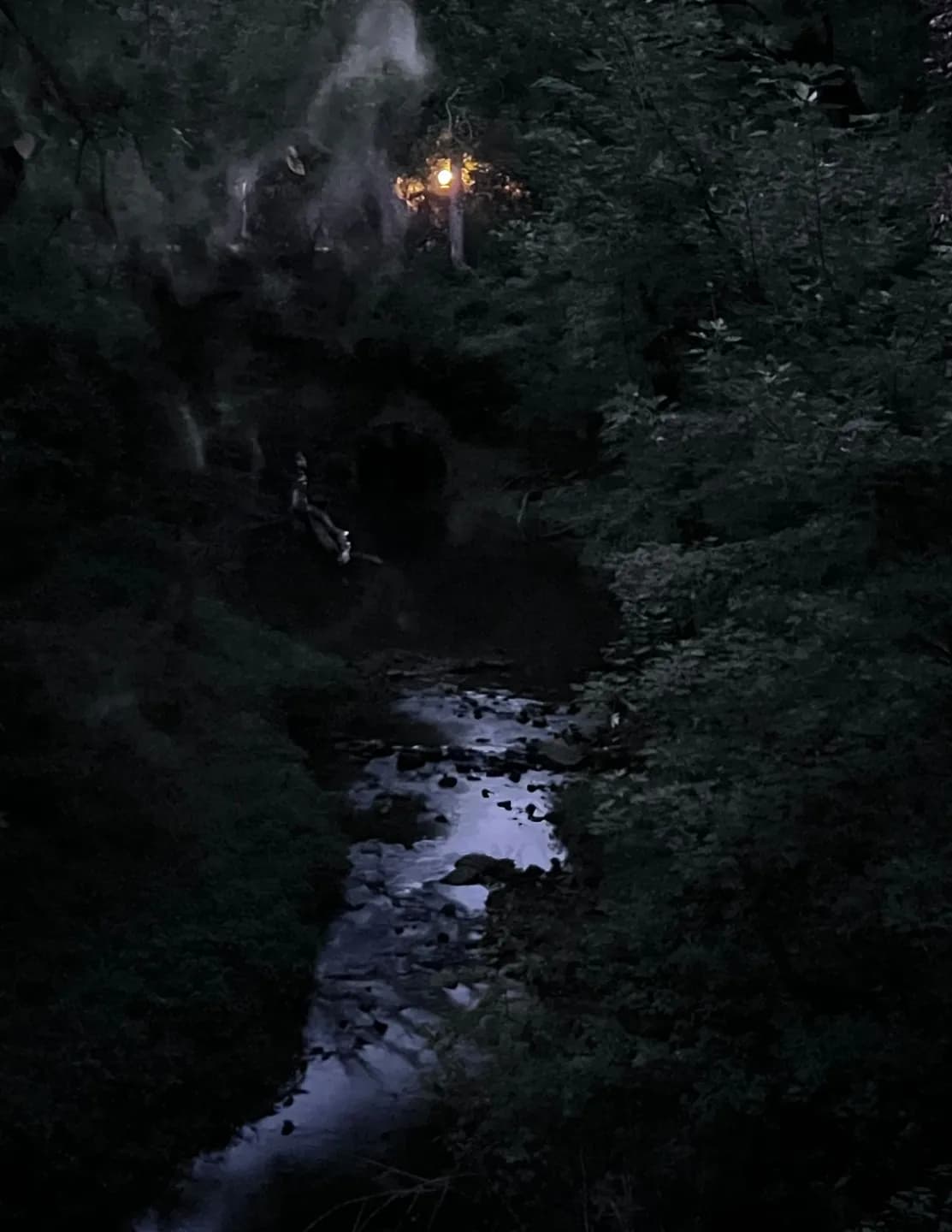Alexis image