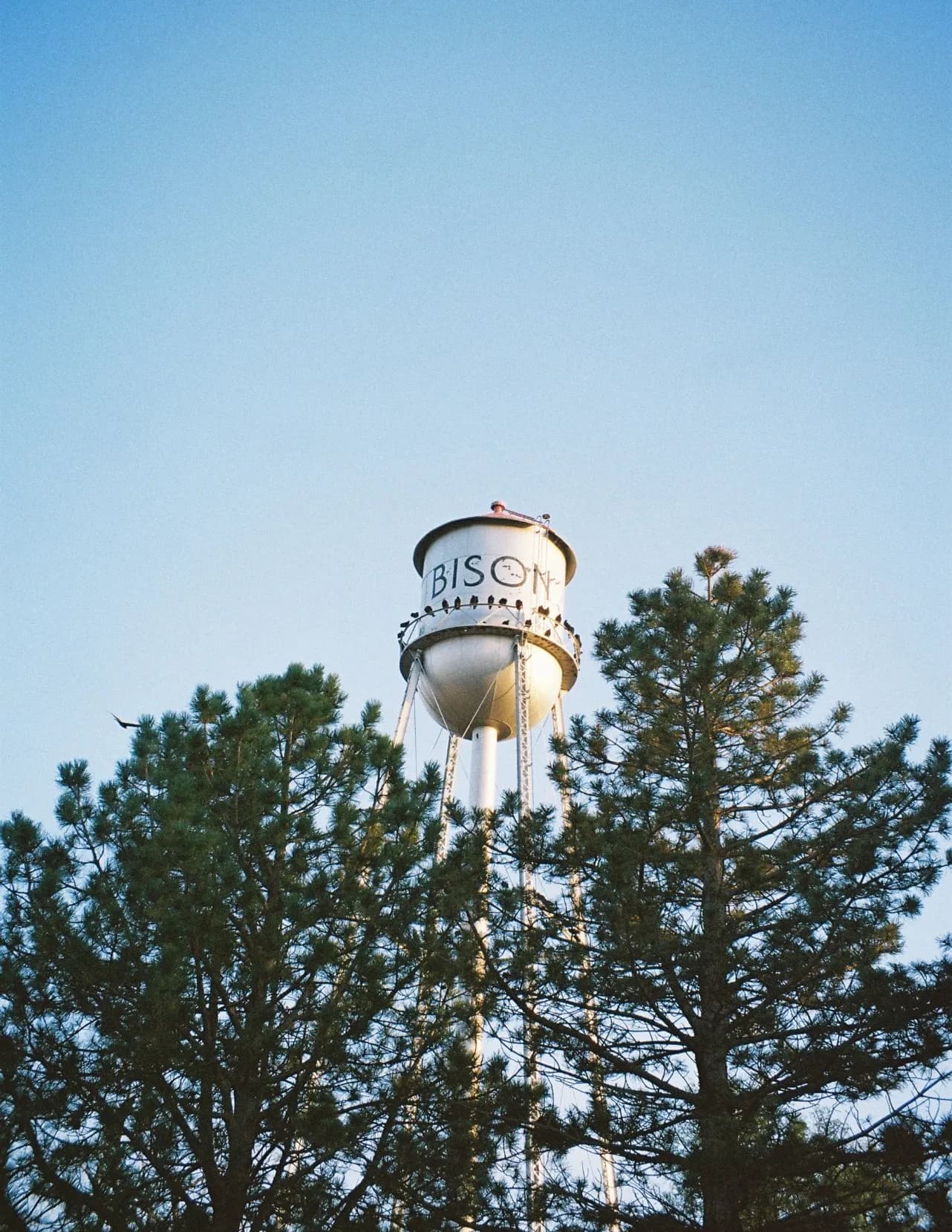 Aspen Romeiser image
