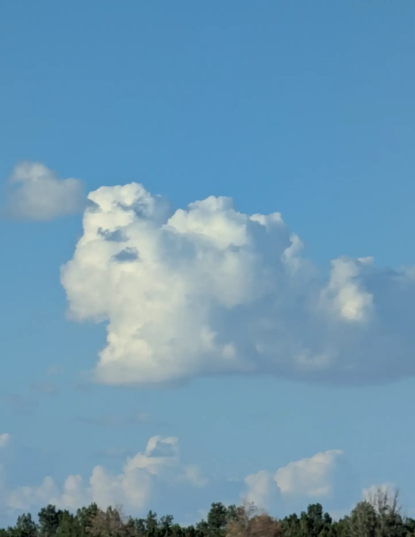 Bradley image