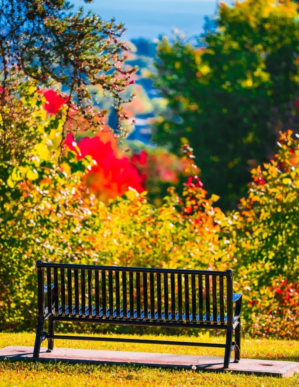 Oldman Canada Photography image