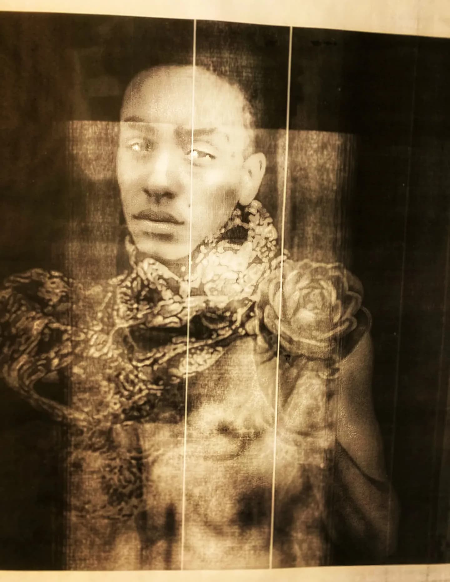 Imari DuSauzay image