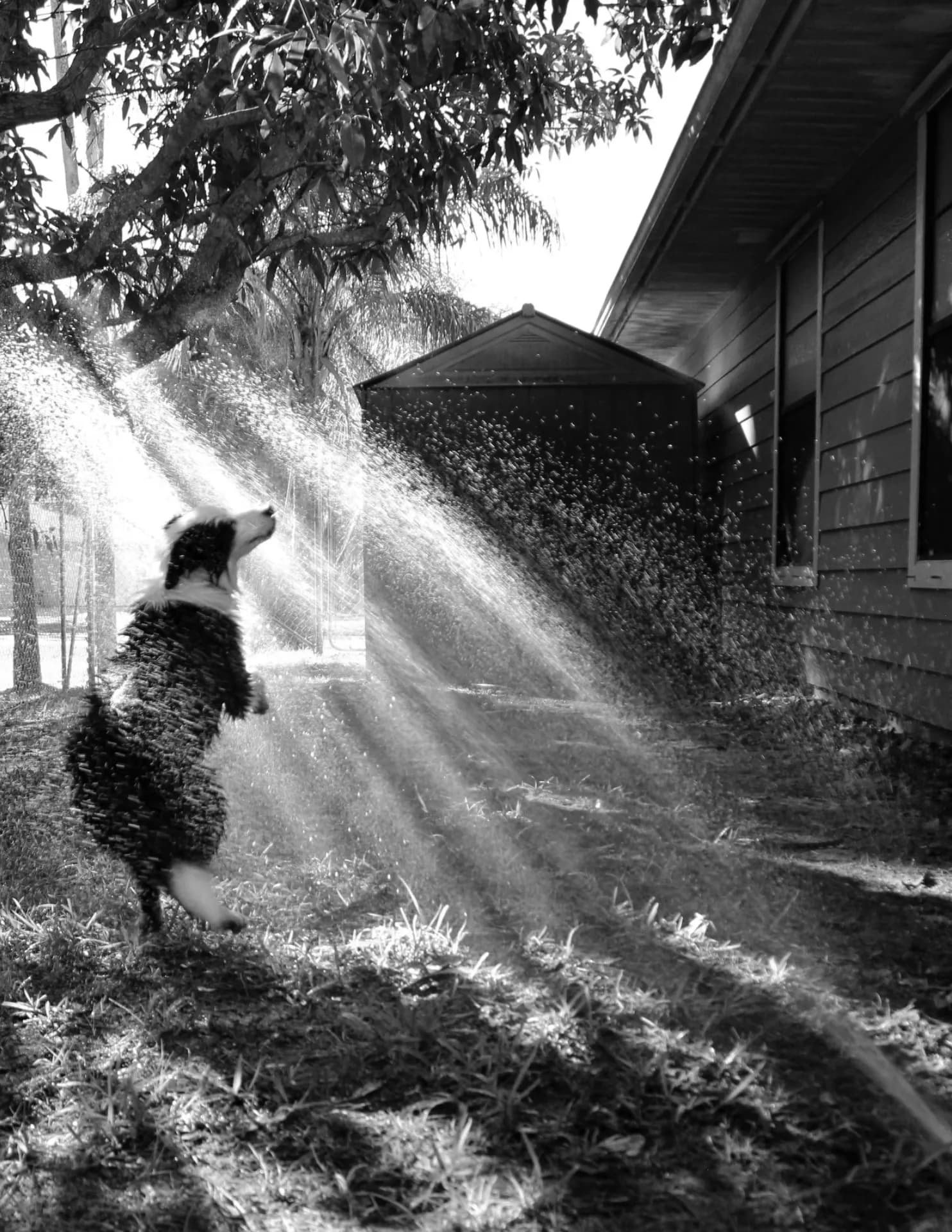 Wendi Kinsey image