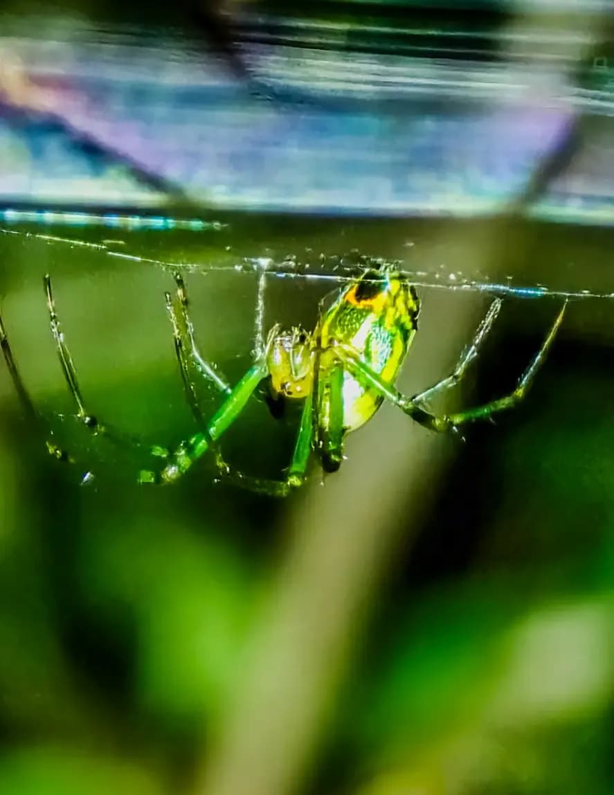 Tinyandwildphotography image