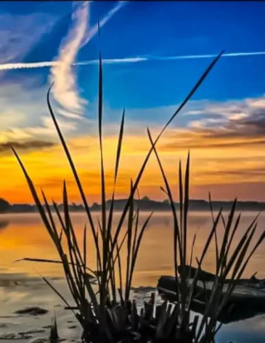 Tinyandwildphotography image