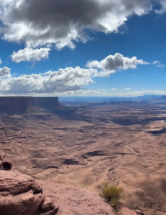 competitor 8P2Yo