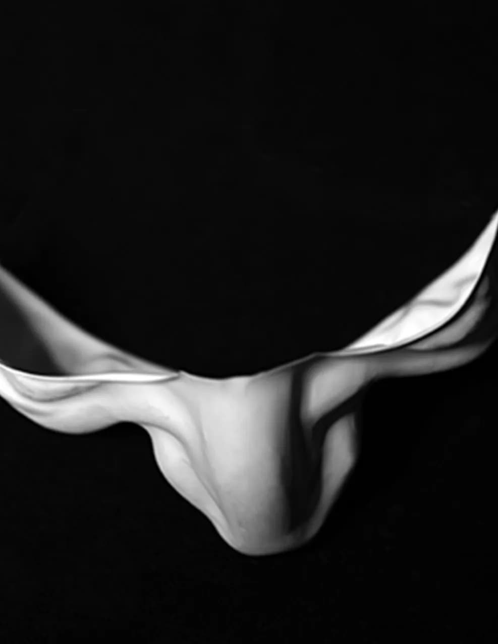 Richard Longo Burrows image