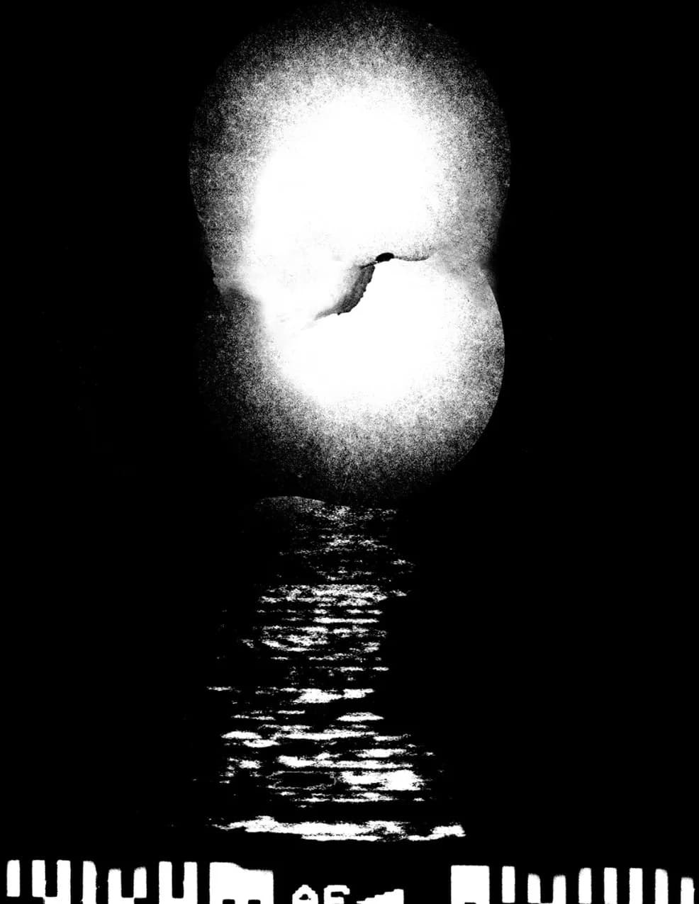 Richard Longo Burrows image