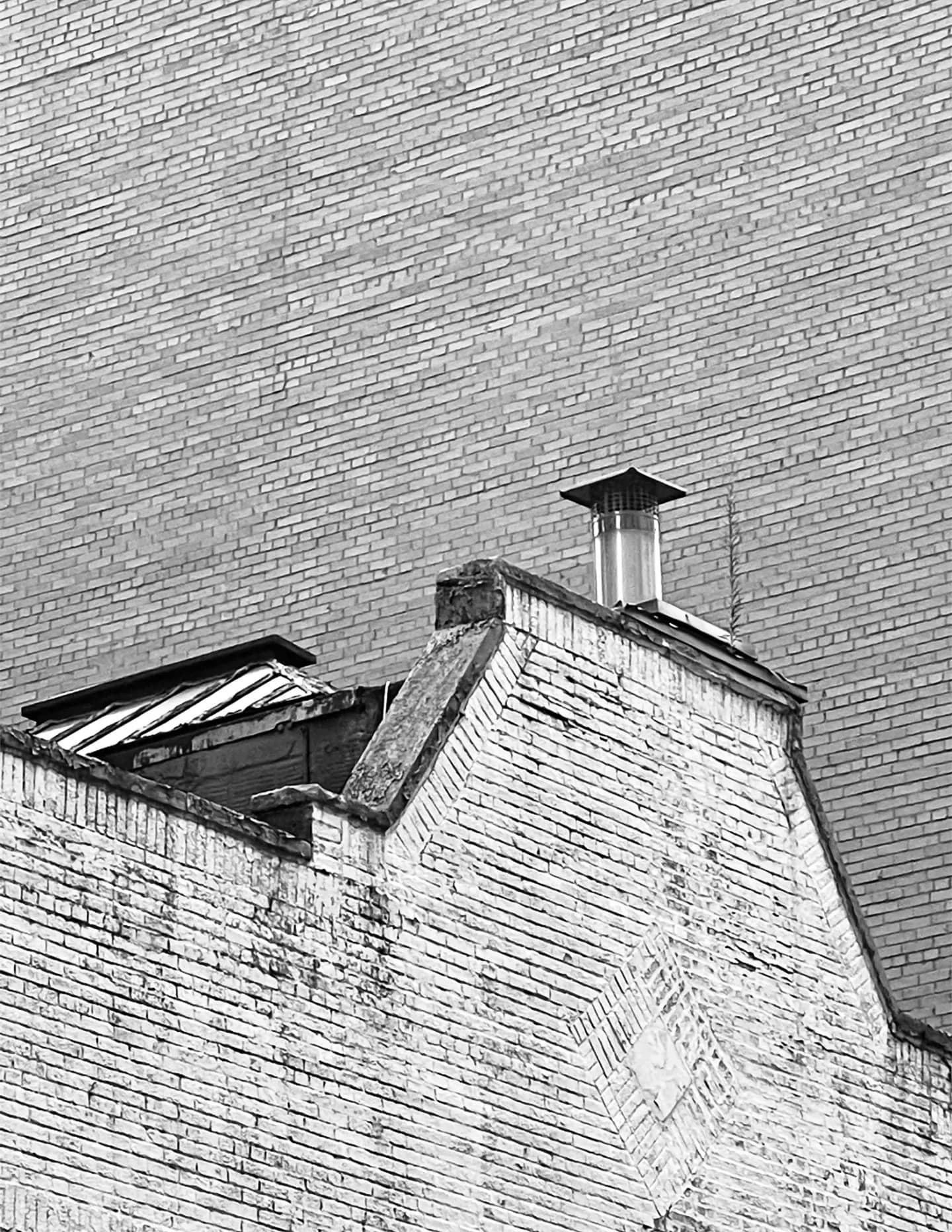 Richard Longo Burrows image