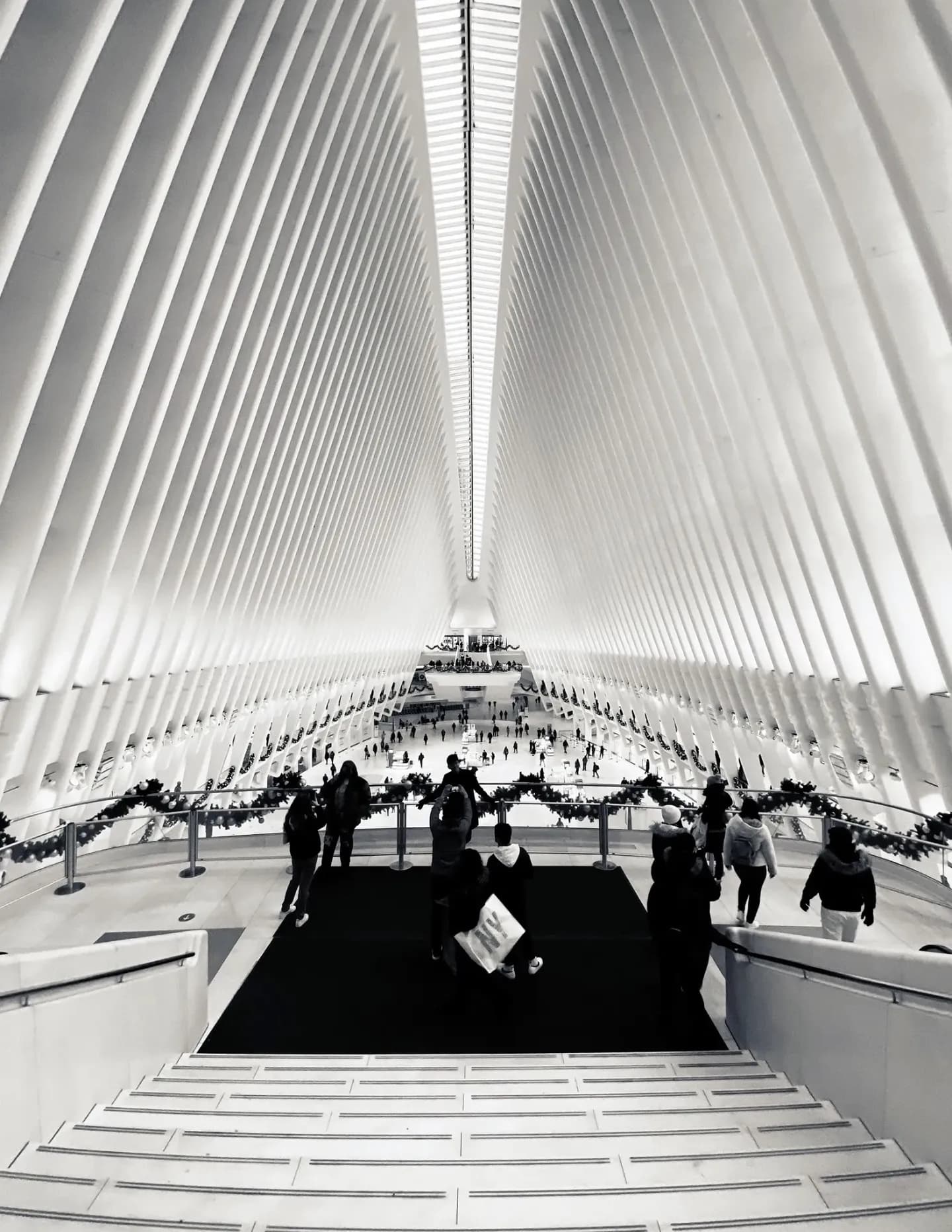Richard Longo Burrows image