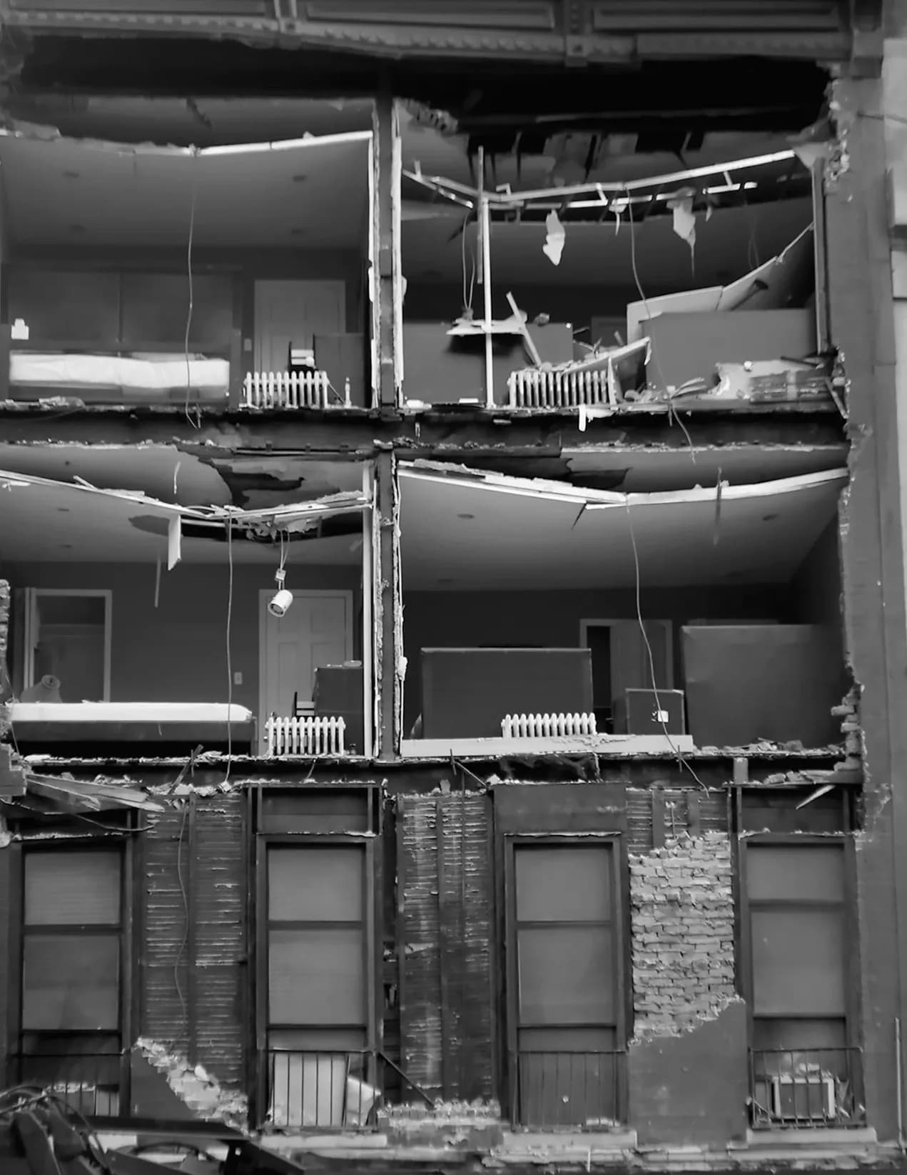 Richard Longo Burrows image