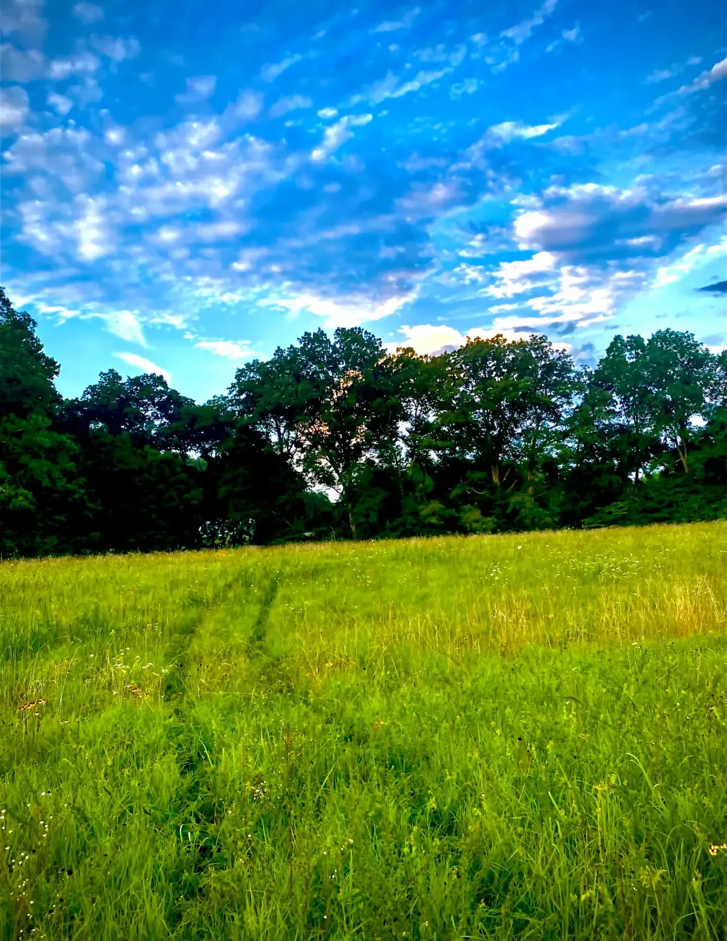 Black & Solace Photography image