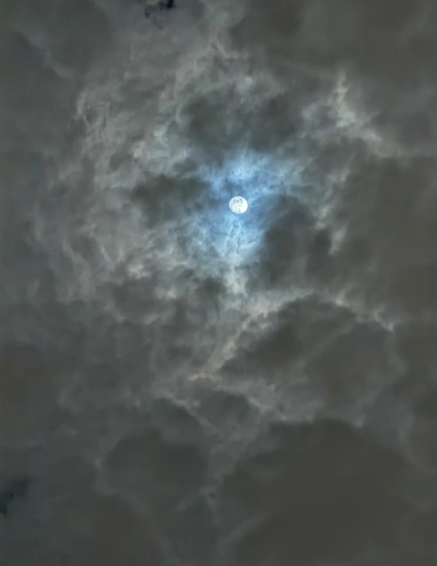 Kirstenzoe image