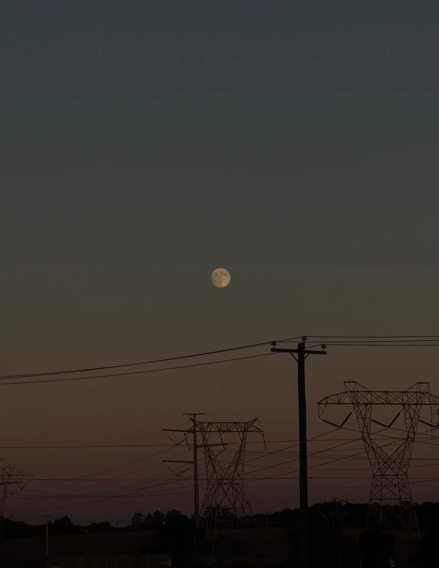 Kirstenzoe image