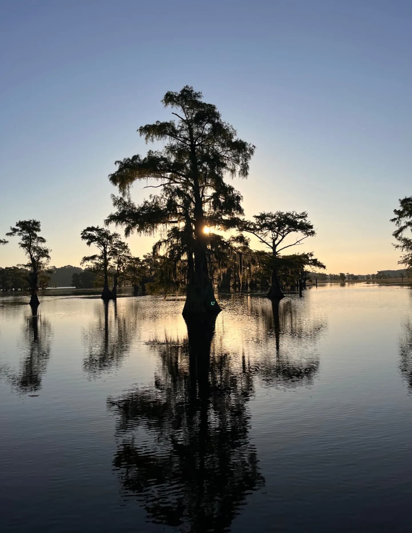 Jerry Driskill image