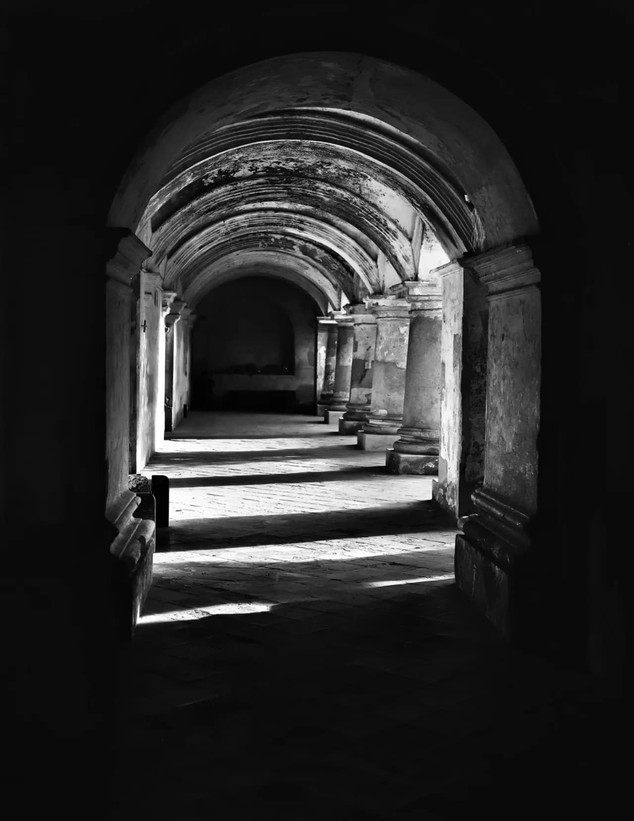 SergioGreen82 image