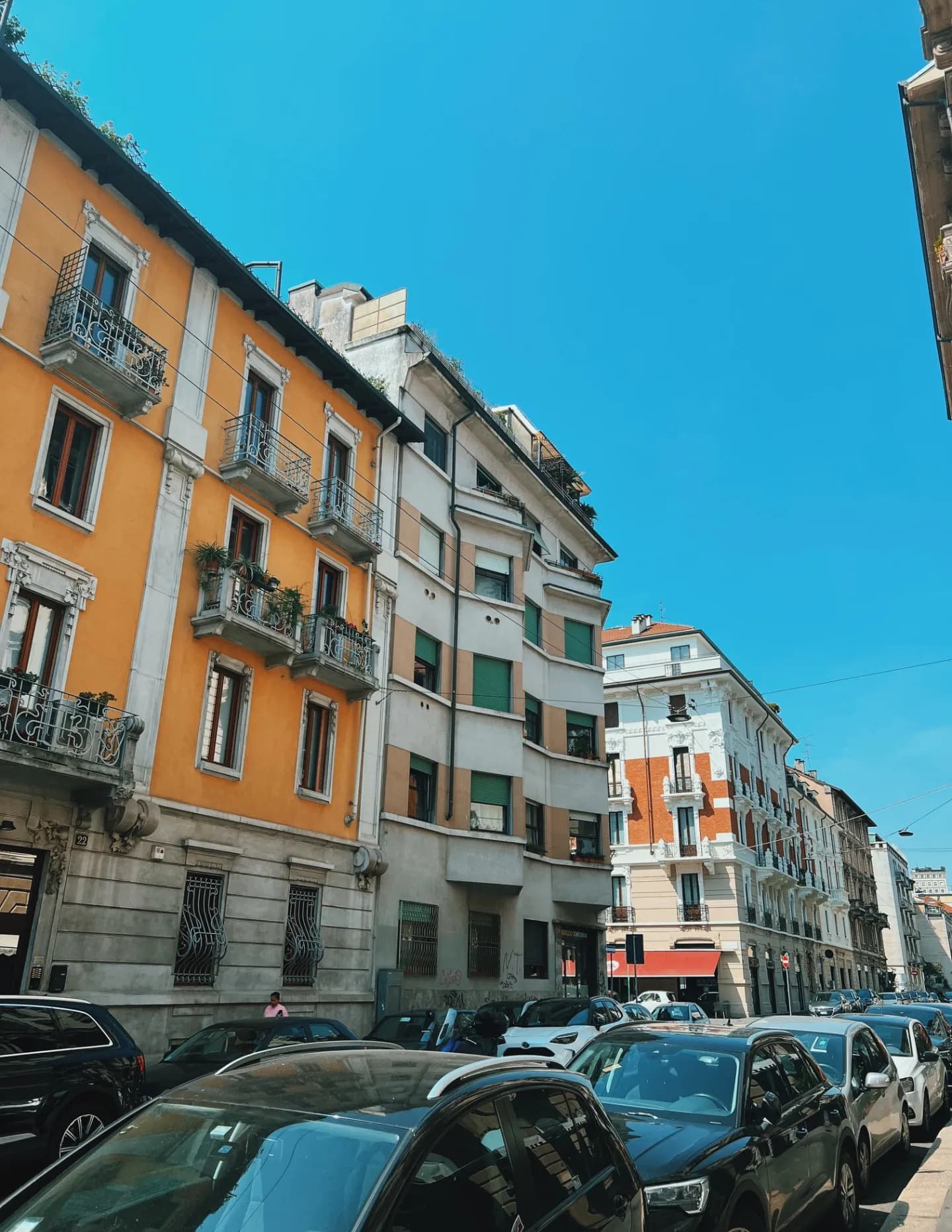 Giuliana Piazza image