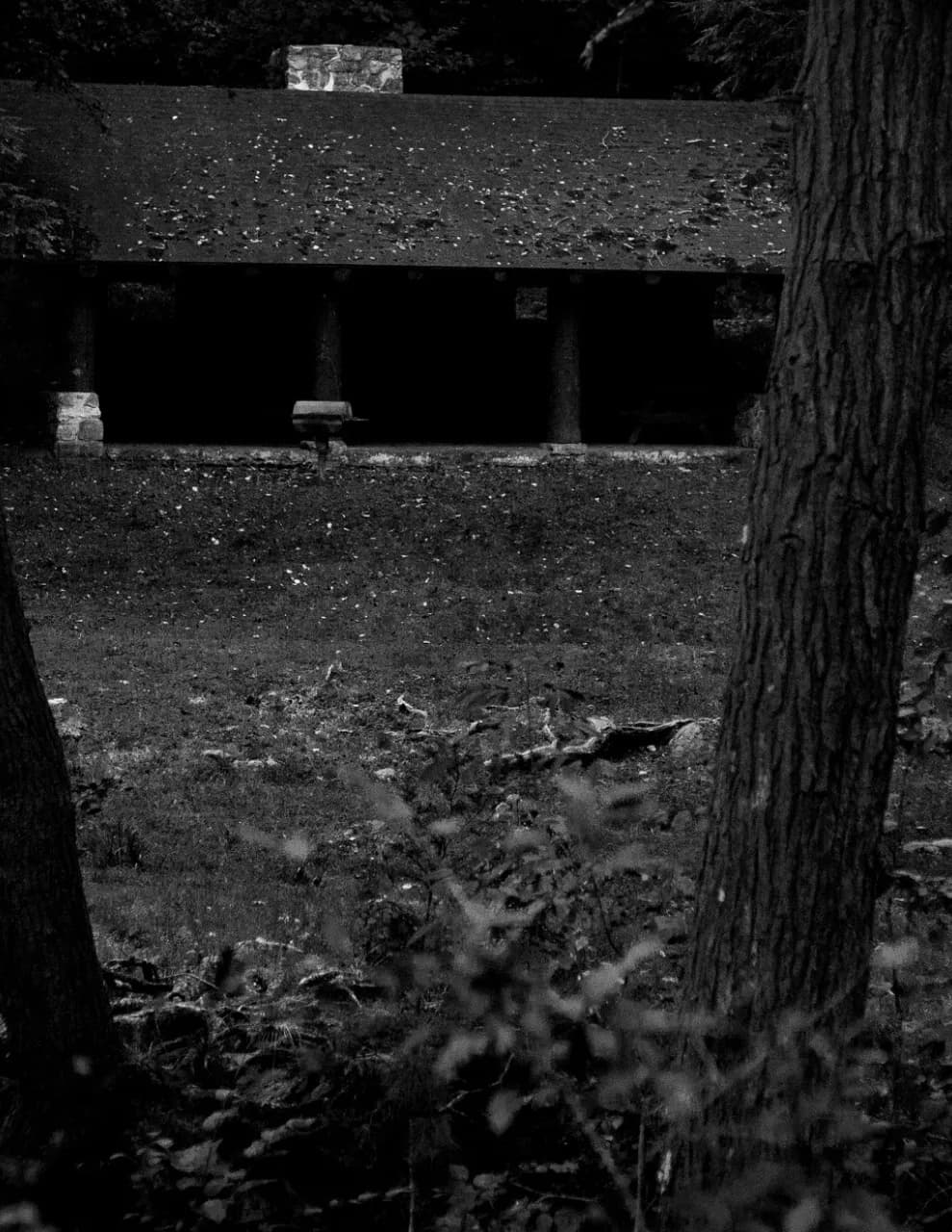 C McCain Photography image
