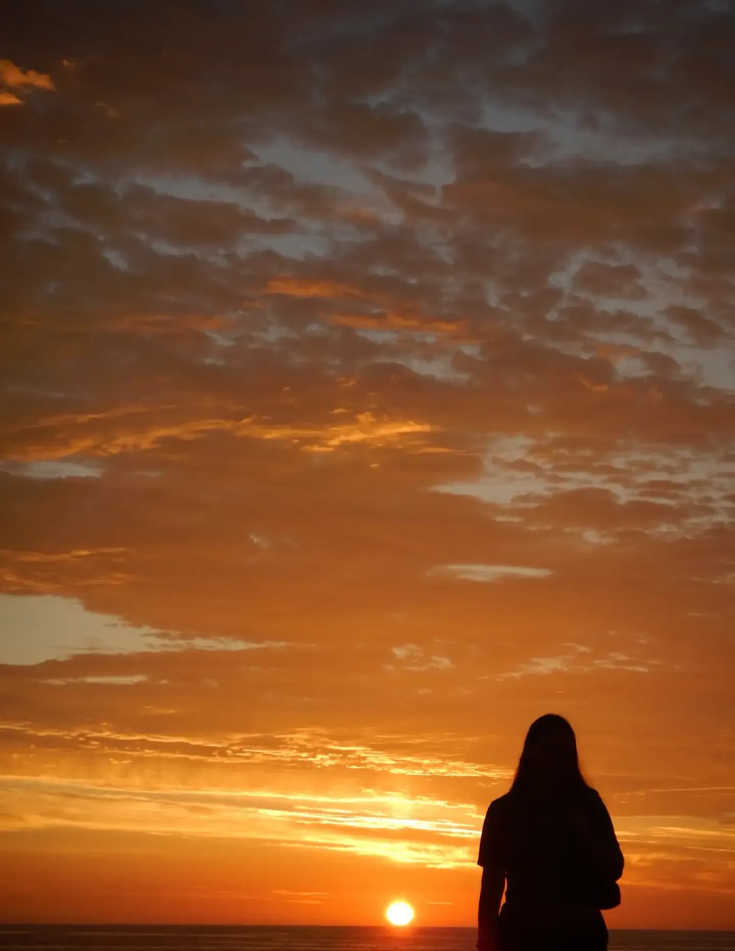 Corina Millarini image